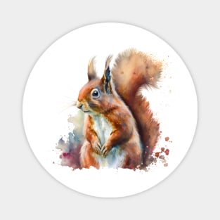 Red Squirrel Watercolour Magnet